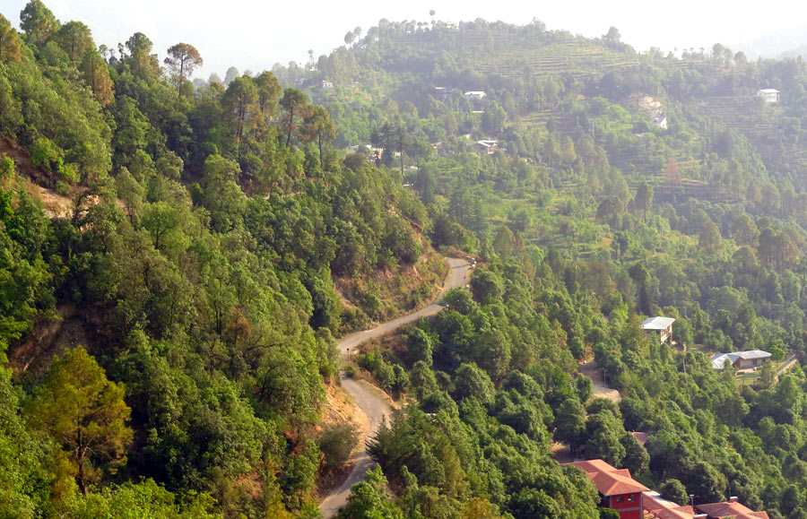 Drive from Kathgodam to Peora