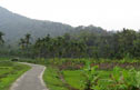 Forested landscape of Wayanad