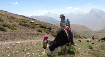 September 2012: Hiking Trip to Spiti, Himachal Pradesh