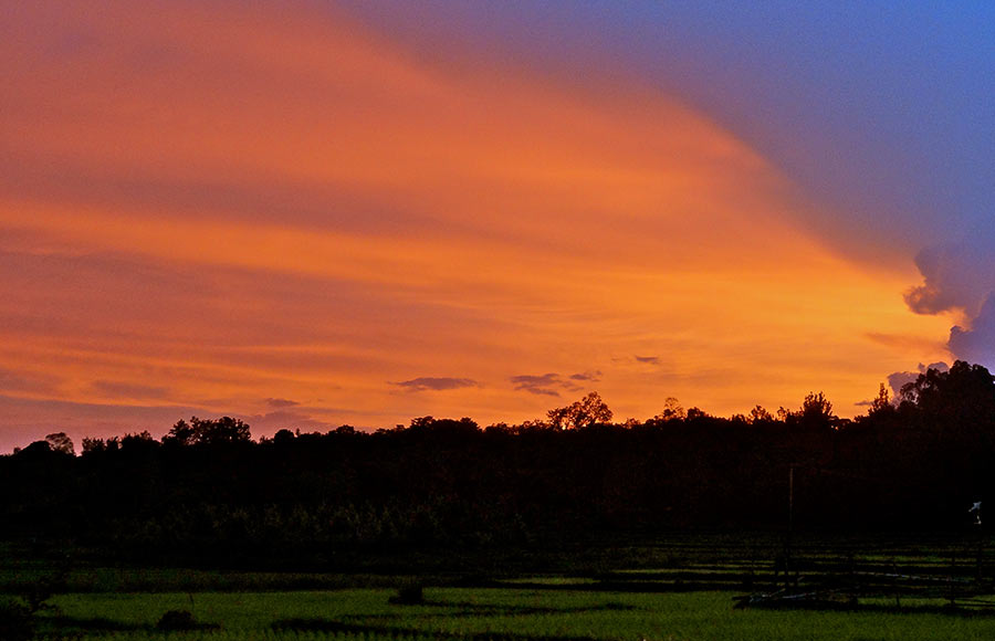 Sunsets from the rice paddies