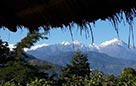 View of Mount Kanchendzonga from the farm on clear days