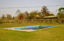 Freshwater swimming pool