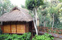 Bamboo homestay on a coffee plantation